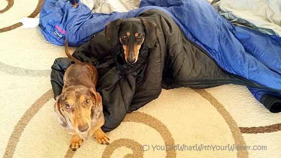 Barker Bag: A Unique Dog Sleeping Bag That Zips Onto Your Mummy Bag