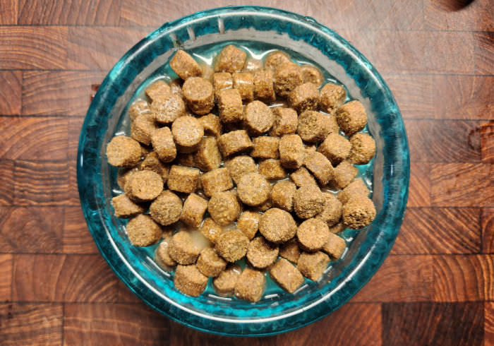 10 Reasons to Add Water to Your Dog’s Dry Food
