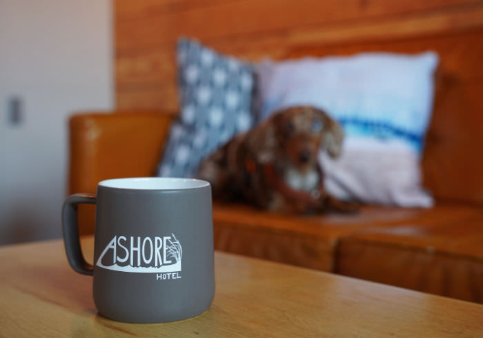 The Ashore Hotel – Best Pet Friendly Hotel on the Oregon Coast