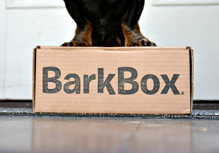 The 5 Best Dog Subscription Boxes for Dachshunds