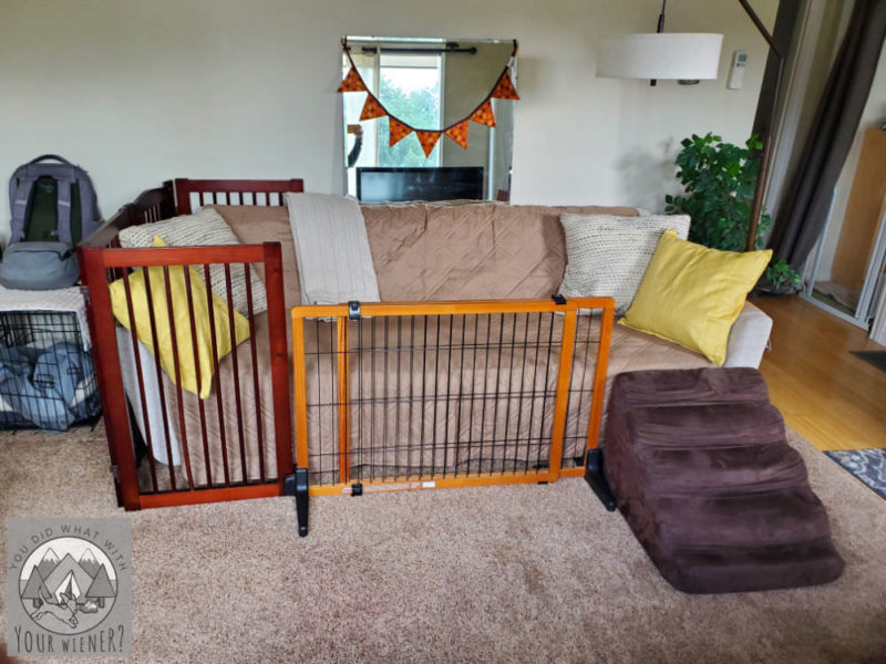 Dog gates, and a ramp, around a couch to keep my Dachshund from jumping off of it