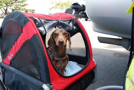 Bike Tour with the Dogs – Astoria to Cannon Beach, Oregon