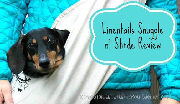 The Best Dog Carrier Sling Bag for Carrying Your Small Dog