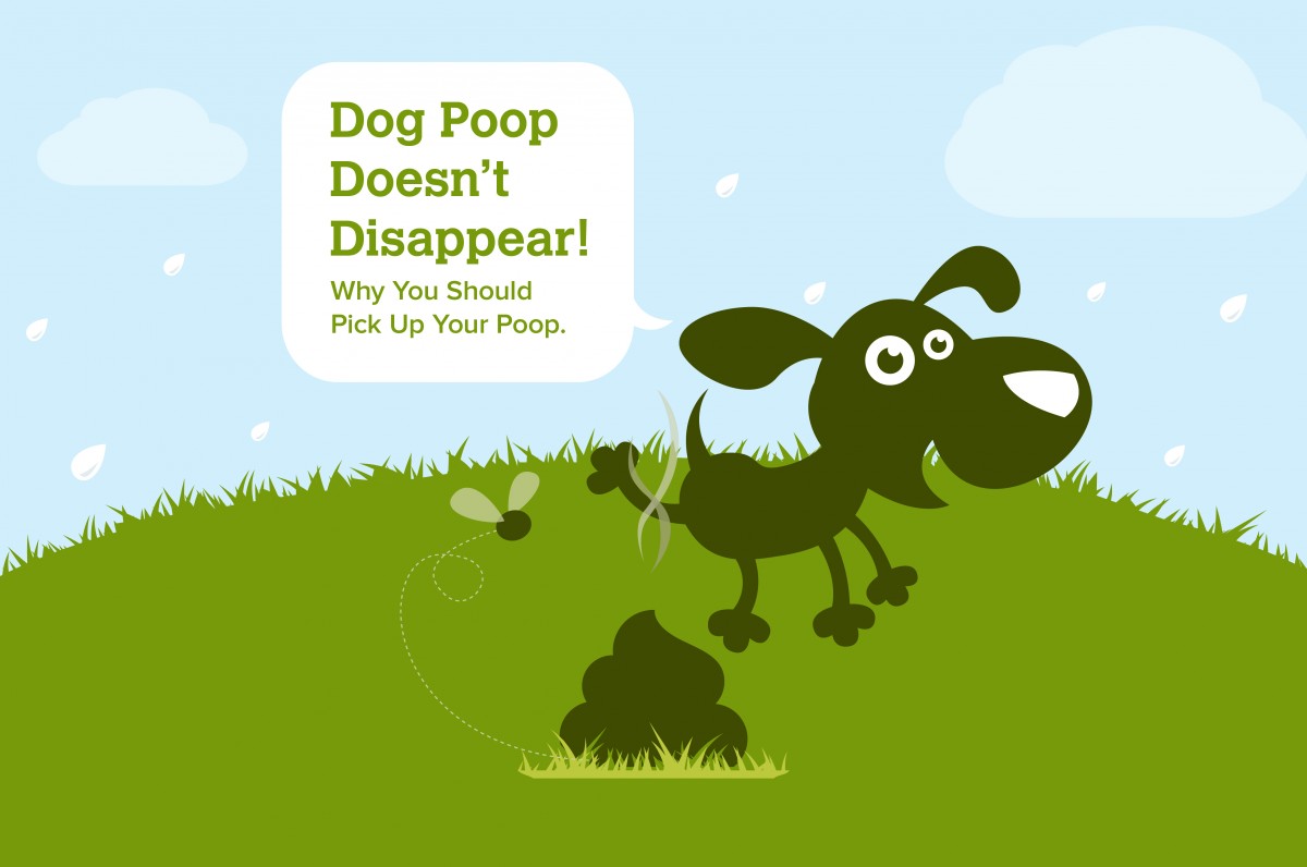 Pick it Up: How Dog Poop is Ruining Our Waterways