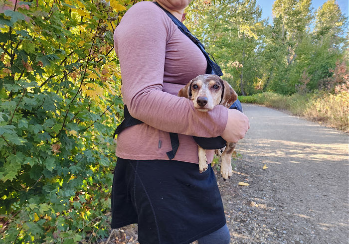 Best Emergency Dog Rescue Sling for Hiking with Dachshunds