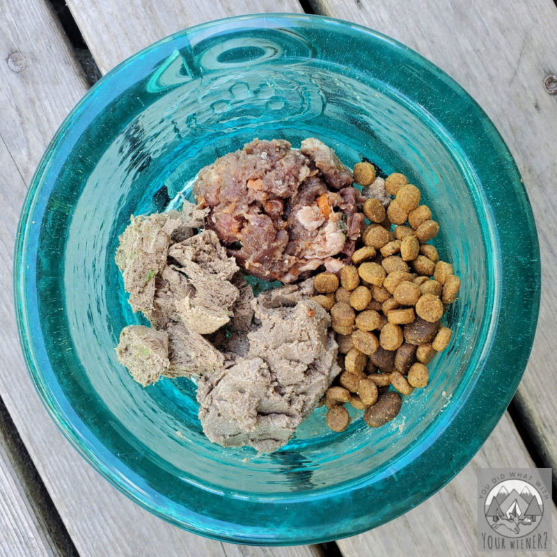 Raw, wet canned, dry kibble, and freeze dried raw dog food in a bowl