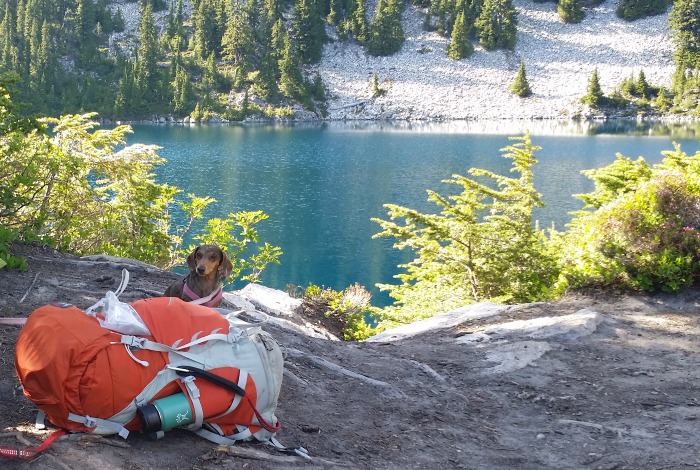 Dog Friendly Hike: Gem Lake via Snow Lake