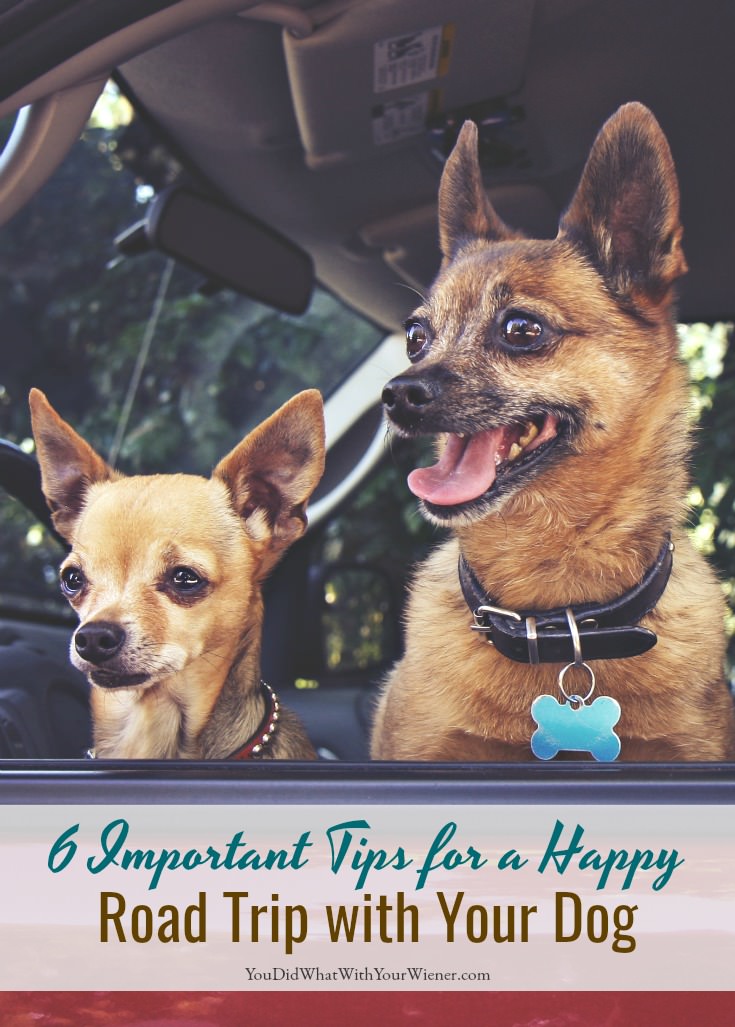 Follow these tips to make sure your trip is a good adventure