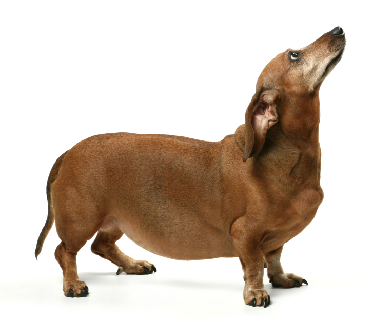 iStock_000012407110Small