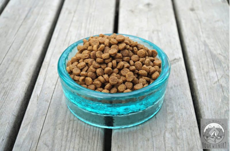Kibble dog food in a bowl on a wood background