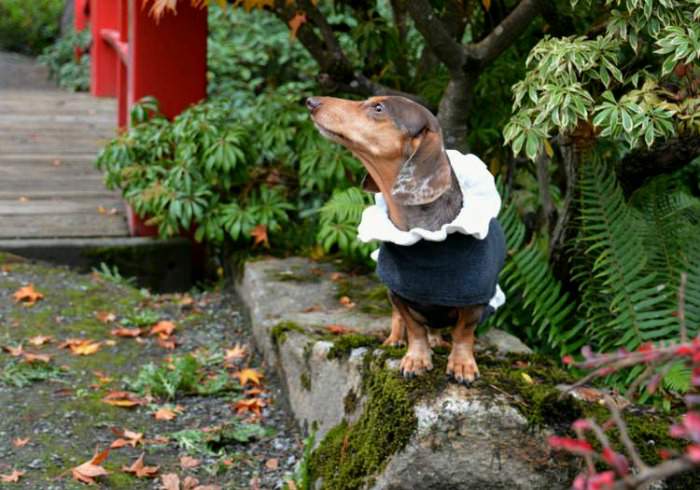 Urban Hiking Adventure: Kubota Japanese Garden