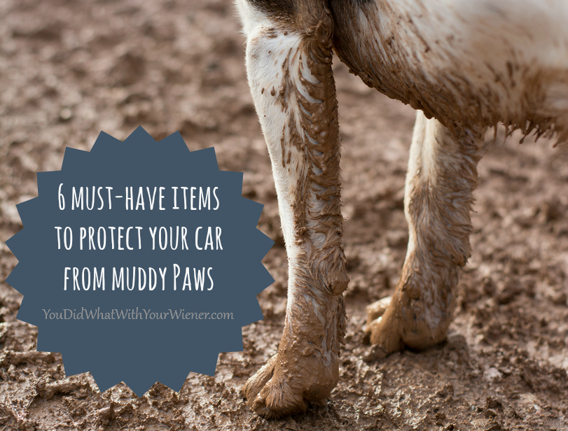 Protect Your Car from Muddy Paws