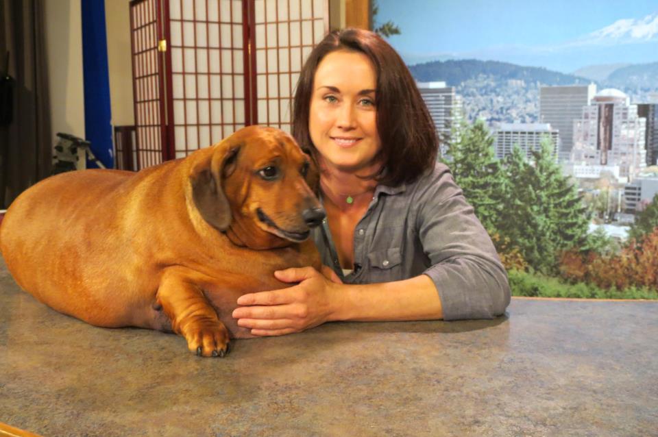 The Saga of Obie the Obese Dachshund