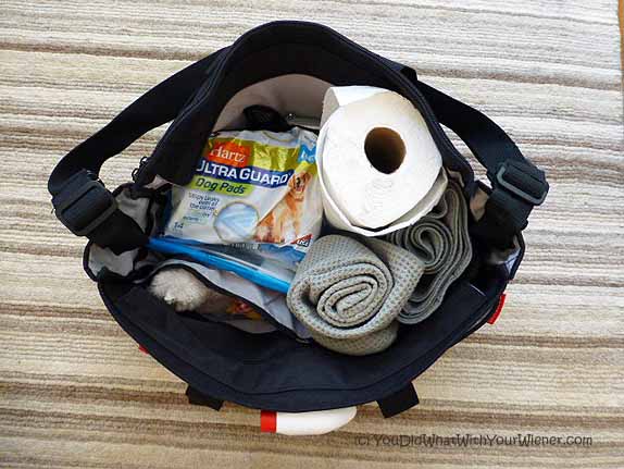 Dog Diaper Bag – What to Pack