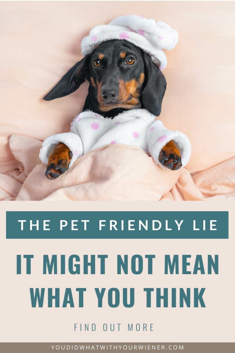 When I first started traveling with my dogs, I was repeatedly surprised and perplexed by places labeled "pet friendly". Frequently, I was disappointed. It turns out that there is a big difference between let and allow - between pets allowed vs pet friendly. Quite a big difference actually.