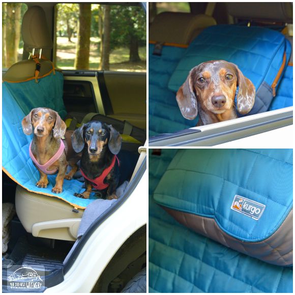 Kurgo Adventure Gear: Loft Hammock Car Seat Cover