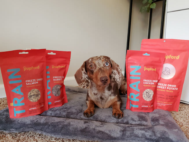 Pupford: Making Dog Training Easy and Guilt Free