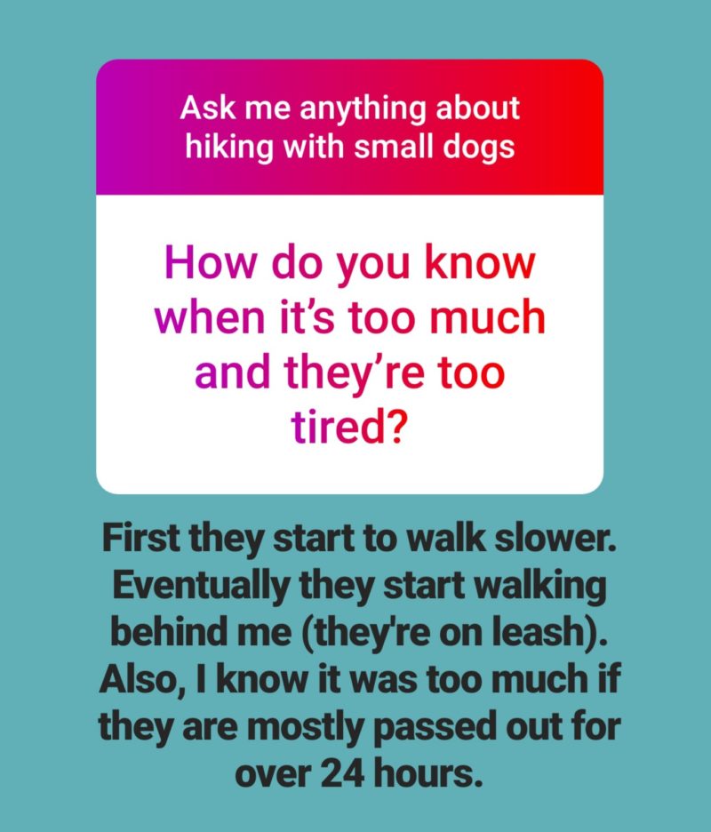 Reader Question Text: How do you know when it's too much (hiking) and they are tired?