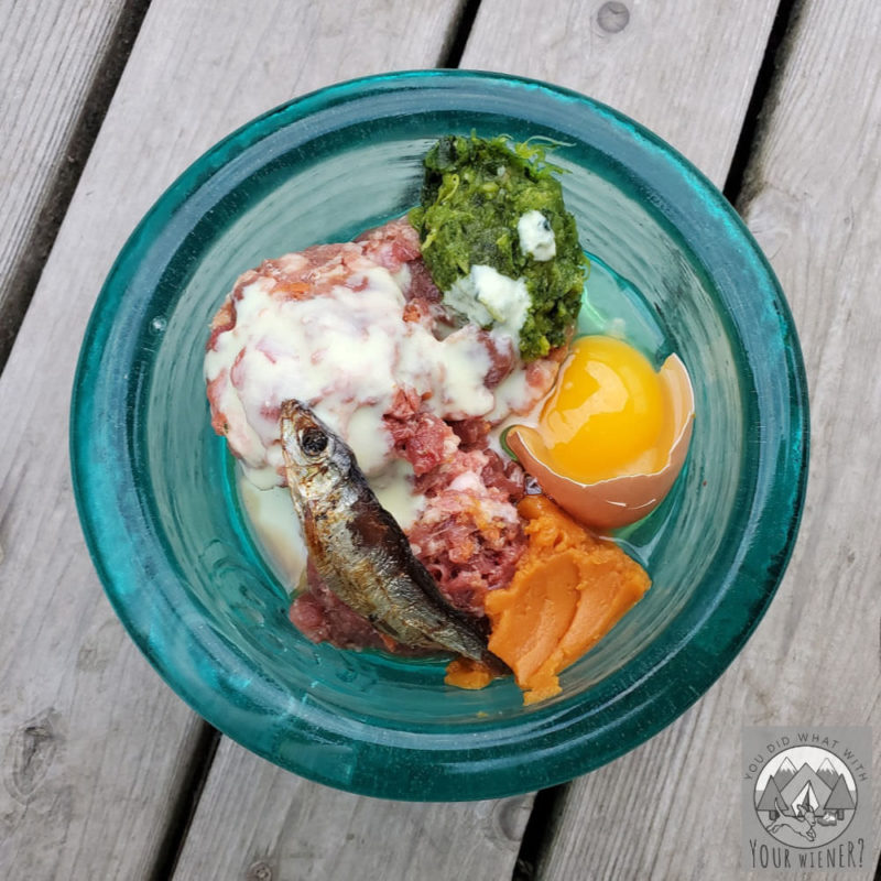 raw dog food with a dried fish, pumpkin, and kiefer added.