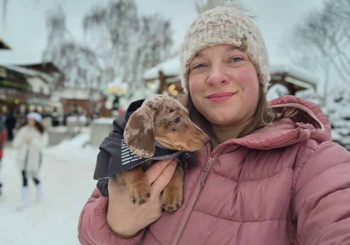 How to Socialize a Puppy Before Final Vaccinations