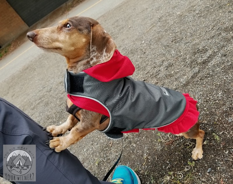 Teckelklub Dachshund Fleece Rain Jacket