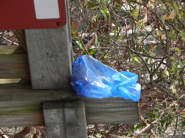 Yes, “Pack it Out” of the Wilderness Means Your Poop Bags Too