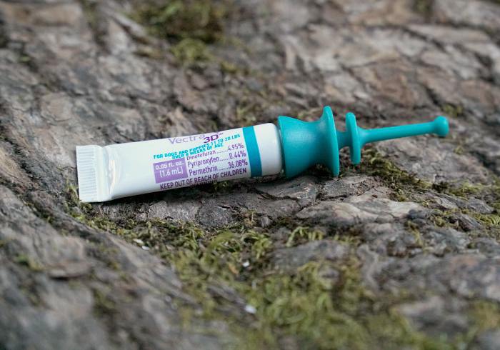 Ticks, Ticks, Ticks: Remember to Protect Your Dog When Hiking