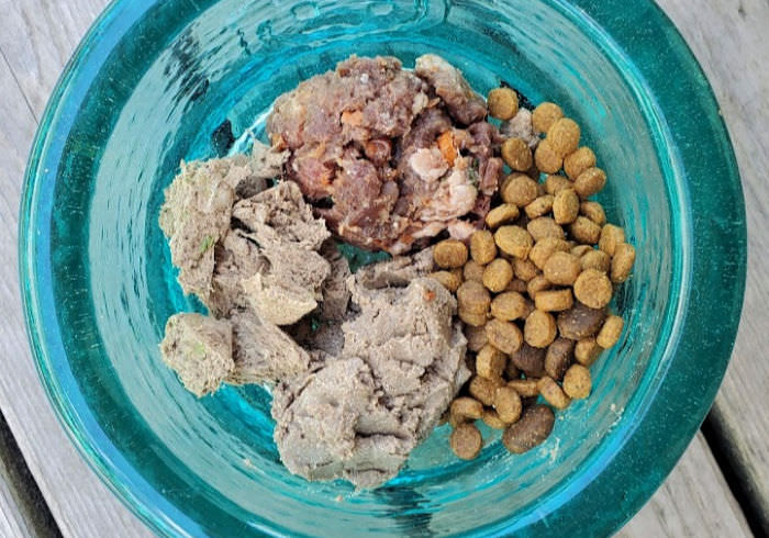 What I Feed My Active Dachshunds to Help Keep Them Healthy