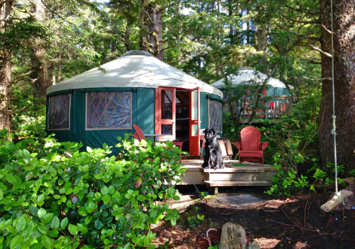 Dog Friendly Glamping Yurts, Cabins and Huts in Washington